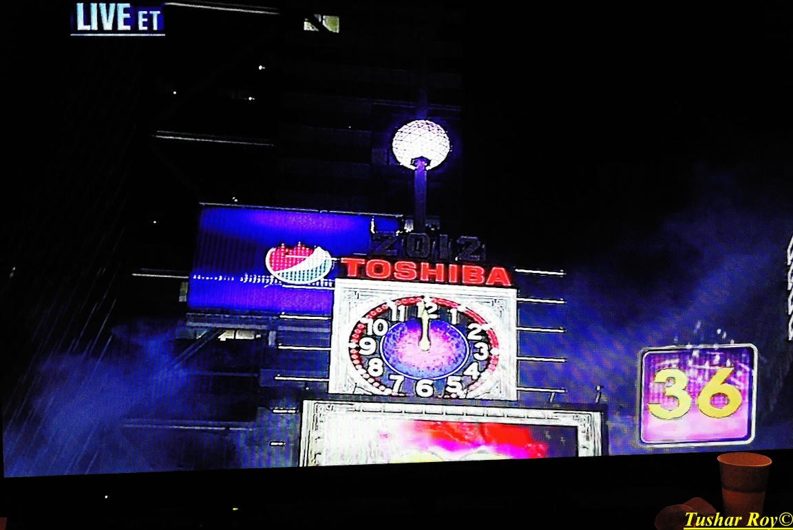 New Year+Saraswati Puja - 013.jpg